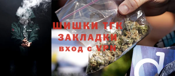 прущие крисы Бородино