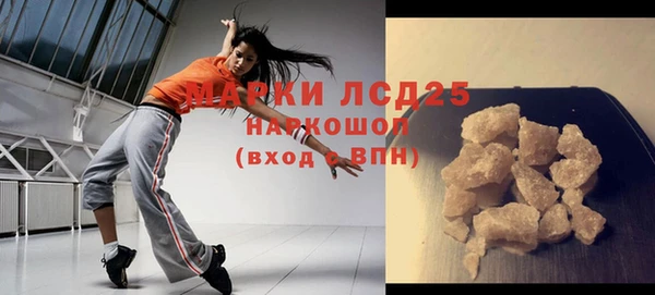 прущие крисы Бородино