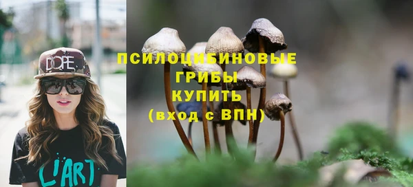 прущие крисы Бородино