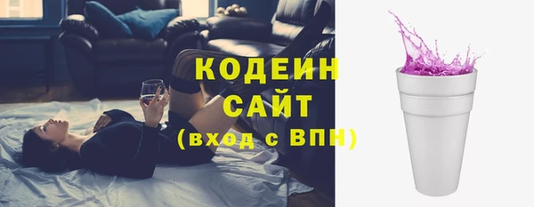прущие крисы Бородино