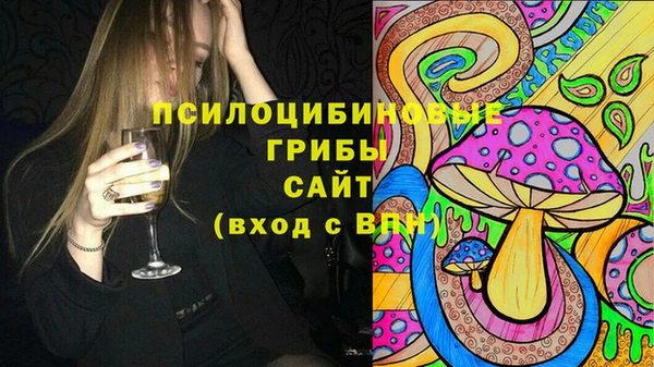 прущие крисы Бородино
