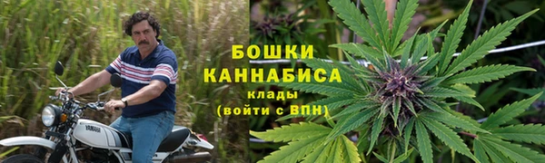 прущие крисы Бородино