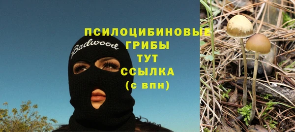 прущая мука Бронницы