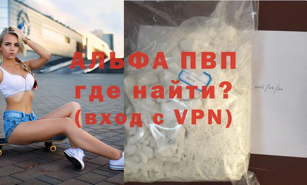 прущие крисы Бородино