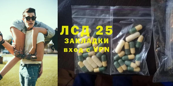 прущие крисы Бородино