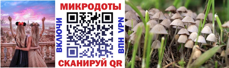 Галлюциногенные грибы GOLDEN TEACHER  Купить закладки  Саранск 